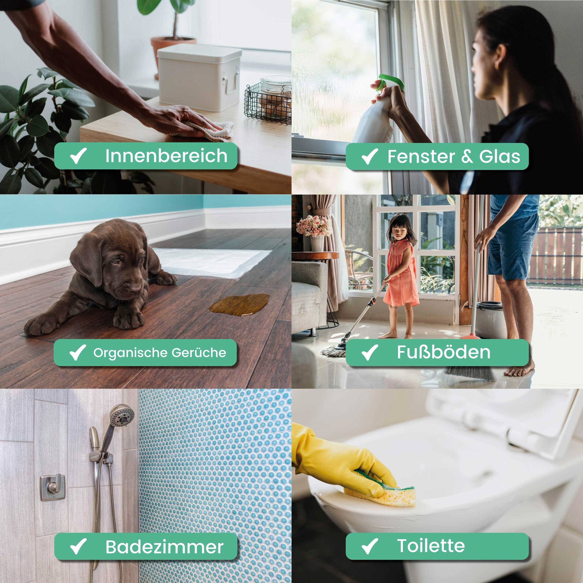 Synbiotic Shield - Probiotisches Putzmittel